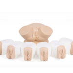 Clinical Female Pelvic Trainer Mk 3 (CFPT) – Advanced (Light Skin Tone)