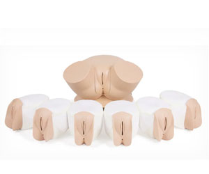 Clinical-Female-Pelvic-Trainer-Mk-3-(CFPT)---Advanced-(Light-Skin-Tone)