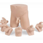 Clinical Male Pelvic Trainer (CMPT) Mk 2 – Advanced (Light Skin Tone)